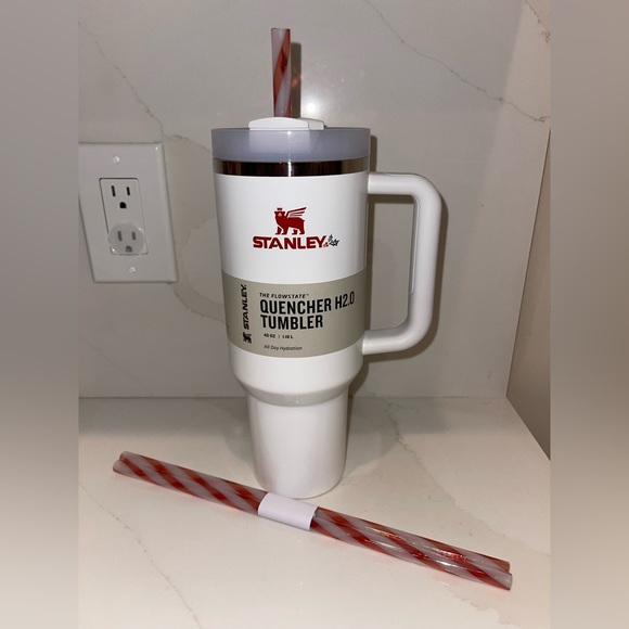 Mistole Stanley Cup 40oz - Picture 3 of 3